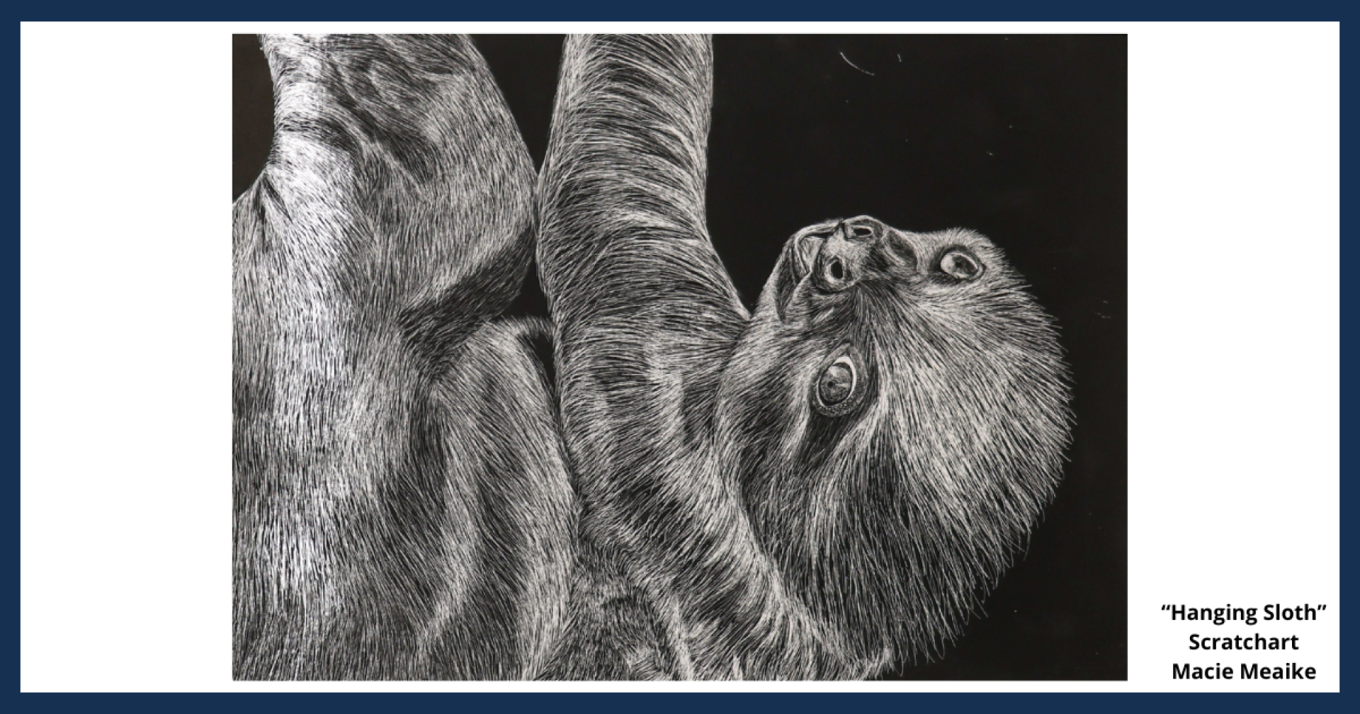 A scratch art drawing of a sloth, titled "Hanging Sloth," created by Macie Meaike.