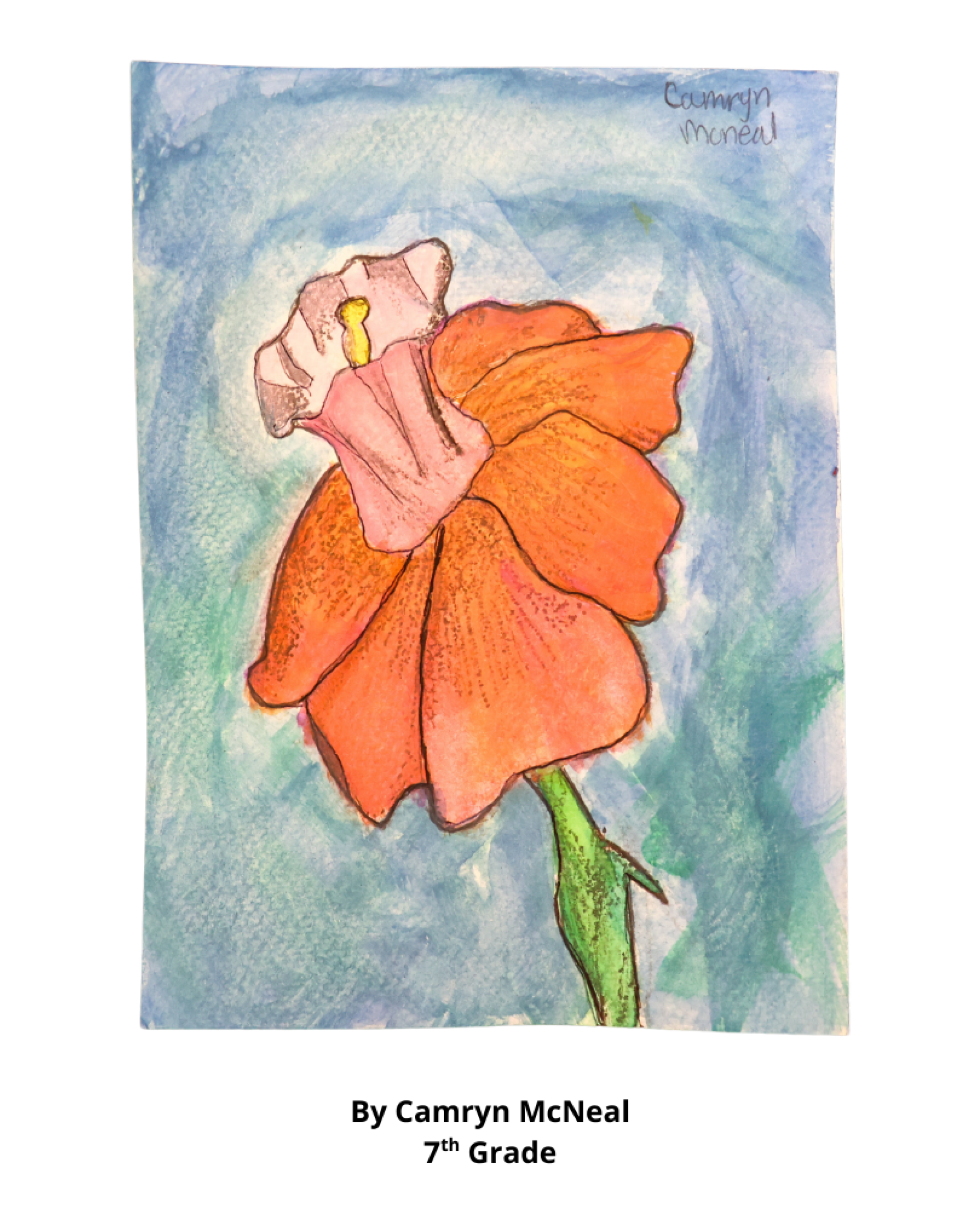 A painting of an orange flower, created by 7th grader Camryn McNeal.